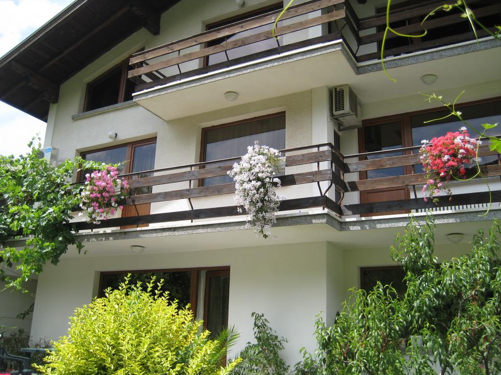 Slavina Guest House Saparewa Banja Exterior foto